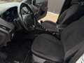 Ford Focus 1,0 EcoBoost ST-Line Weiß - thumbnail 3