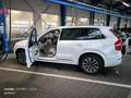 Volvo XC90 Blanc - thumbnail 11