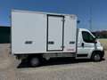 Citroen Jumper 2.2 HDI FRIGO +12 - 20 STRADA/RETE Blanc - thumbnail 5