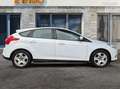 Ford Focus 1.6 tivct 85 trend deuxieme main affaire %2B%2B%2B Blanc - thumbnail 16