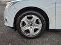 Ford Focus 1.6 tivct 85 trend deuxieme main affaire %2B%2B%2B Blanc - thumbnail 21