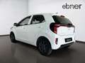 Kia Picanto Vision 1.2l | Navi | Rückfahrkamera | PDC hinten Weiß - thumbnail 11