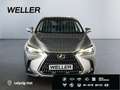 Lexus NX 350h Executive Line *360*HUD*Leder*Pano*Memory* Silber - thumbnail 2