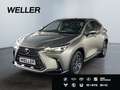 Lexus NX 350h Executive Line *360*HUD*Leder*Pano*Memory* Silber - thumbnail 1