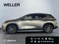 Lexus NX 350h Executive Line *360*HUD*Leder*Pano*Memory* Silber - thumbnail 5