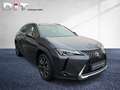 Lexus UX 250h Style Edition Klimaautomatik, Kamera Grijs - thumbnail 5