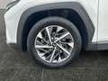Hyundai TUCSON Tucson NX4 Smart Line 1,6 CRDi 2WD t1ds0-P4-O3 Weiß - thumbnail 15
