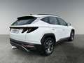 Hyundai TUCSON Tucson NX4 Smart Line 1,6 CRDi 2WD t1ds0-P4-O3 Weiß - thumbnail 5