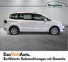 Volkswagen Sharan Business+ TDI SCR 5-Sitzer Blanc - thumbnail 3