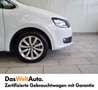 Volkswagen Sharan Business+ TDI SCR 5-Sitzer Blanc - thumbnail 6