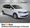 Volkswagen Sharan Business+ TDI SCR 5-Sitzer Blanc - thumbnail 1