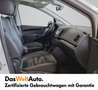 Volkswagen Sharan Business+ TDI SCR 5-Sitzer Blanc - thumbnail 11