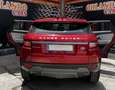 Land Rover Range Rover Evoque 2.0TD4 SE 4WD 150 Rot - thumbnail 12