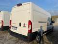 Fiat Ducato 35 2.2 Mjt 140CV PL-TM Furgone Bianco - thumbnail 3