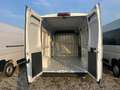 Fiat Ducato 35 2.2 Mjt 140CV PL-TM Furgone Bianco - thumbnail 9