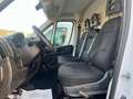 Fiat Ducato 35 2.2 Mjt 140CV PL-TM Furgone Bianco - thumbnail 5