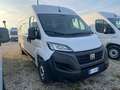 Fiat Ducato 35 2.2 Mjt 140CV PL-TM Furgone Bianco - thumbnail 2