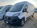 Fiat Ducato 35 2.2 Mjt 140CV PL-TM Furgone Bianco - thumbnail 1