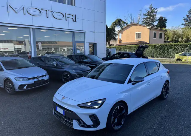 CUPRA Leon 2.0 tdi 150cv dsg
