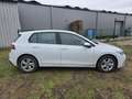 Volkswagen Golf 8 (Stock ID 91314) White - thumbnail 10