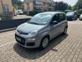 Fiat Panda Panda 1.0 firefly hybrid 70cv Grigio - thumbnail 3