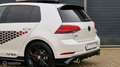 Volkswagen Golf GTI 2.0 TSI TCR 290 PK PANO NIEUWSTAAT UNIEK Weiß - thumbnail 10