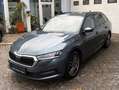 Skoda Octavia Ambition 4x4 Grau - thumbnail 1