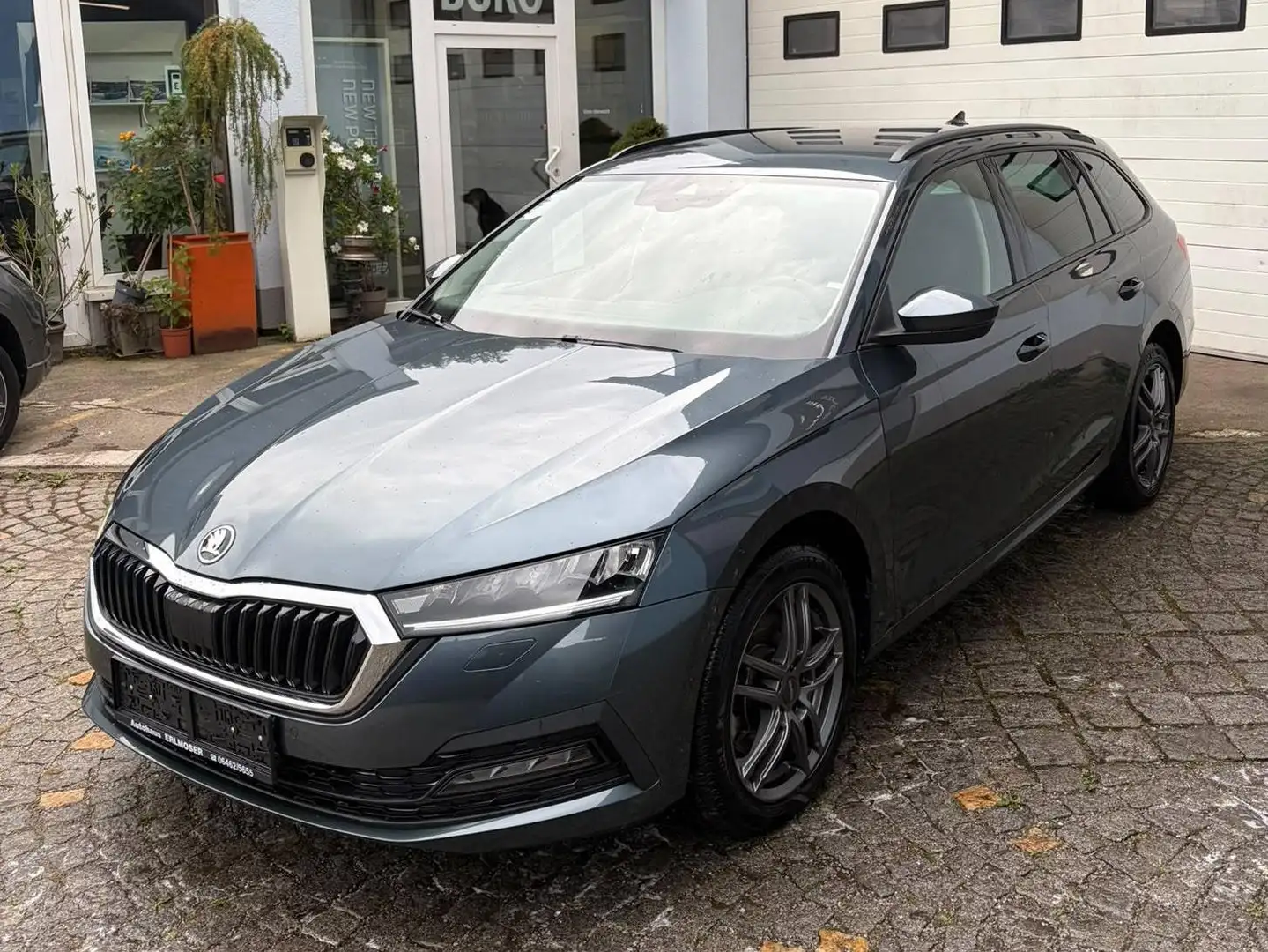 Skoda Octavia Ambition 4x4 Grau - 1