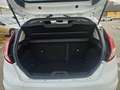 Ford Fiesta Titanium Euro6 Blanco - thumbnail 12