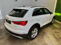 Audi Q3 35tdiBusiness Advanced TUA SENZA ANTICIPO € 303 Bianco - thumbnail 15
