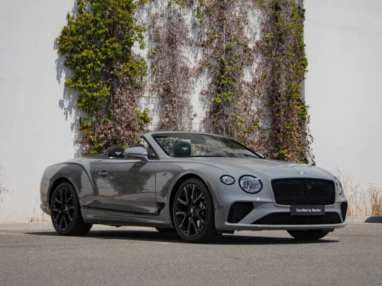 Bentley Continental GTC 2024