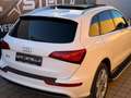 Audi Q5 2.0 TDI quattro S-Line Facelift S-Tronic/Pano/ACC Blanc - thumbnail 47