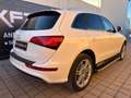 Audi Q5 2.0 TDI quattro S-Line Facelift S-Tronic/Pano/ACC Blanc - thumbnail 4