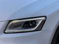 Audi Q5 2.0 TDI quattro S-Line Facelift S-Tronic/Pano/ACC Blanc - thumbnail 37