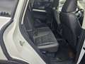 Volkswagen Touareg Sport Austria V6 TDI BMT 4Motion Aut.Piclerl + ... Weiß - thumbnail 33