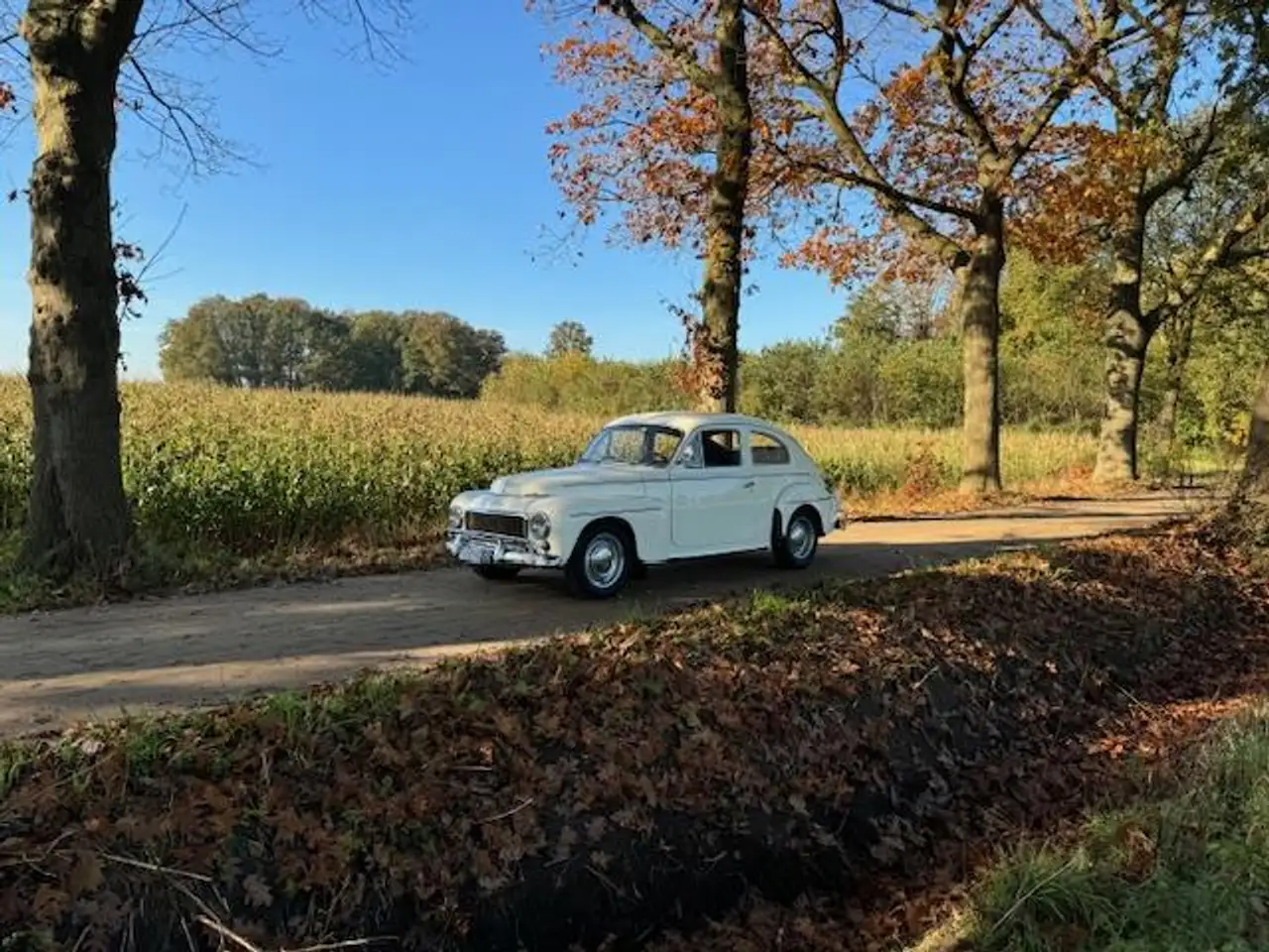 Volvo PV544 Katterug B16 / 1961, foto 10