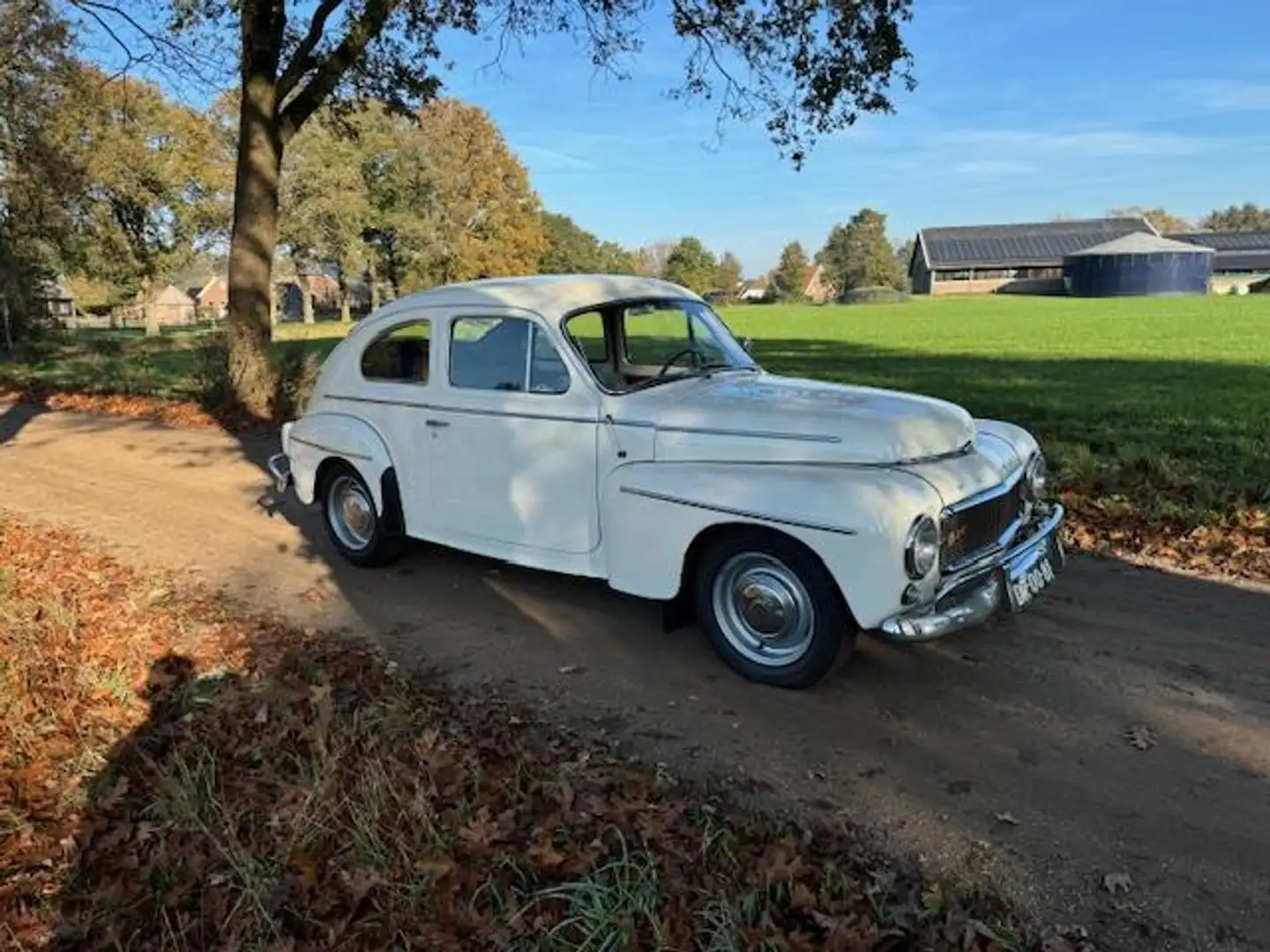Volvo PV544 Katterug B16 / 1961 Alb - 1