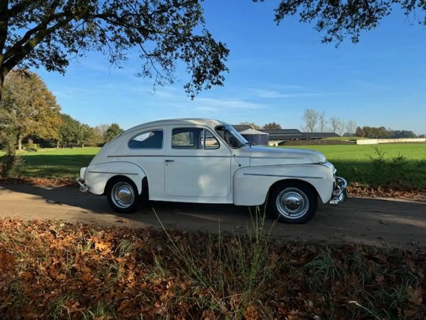 Volvo PV544 Katterug B16 / 1961 Alb - 2