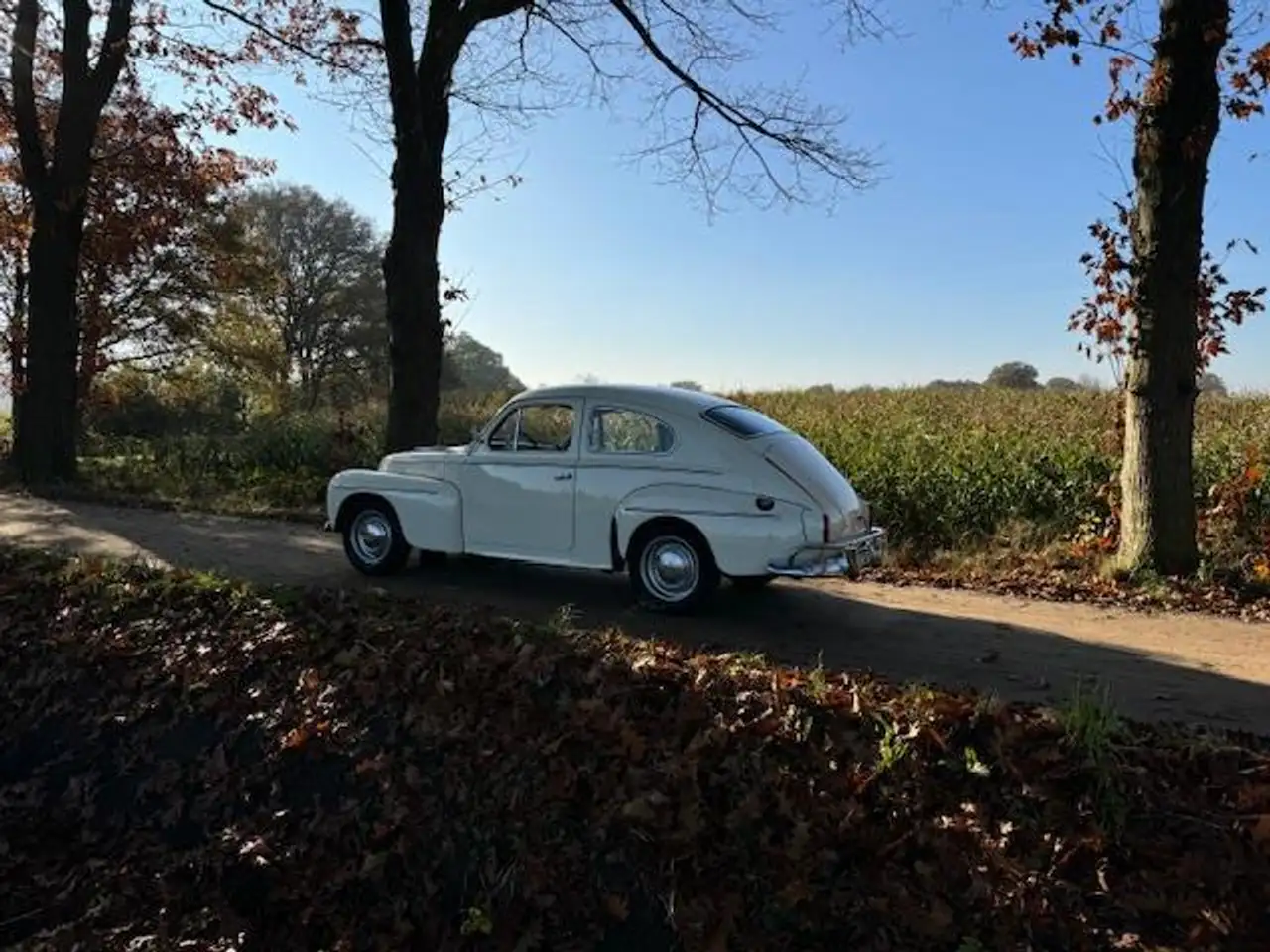 Volvo PV544 Katterug B16 / 1961, foto 12