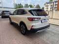 Ford Kuga 2.5 Plug In Hybrid 225 CV CVT 2WD Titanium Bianco - thumbnail 6