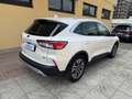 Ford Kuga 2.5 Plug In Hybrid 225 CV CVT 2WD Titanium Bianco - thumbnail 4