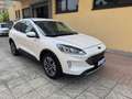 Ford Kuga 2.5 Plug In Hybrid 225 CV CVT 2WD Titanium Bianco - thumbnail 3