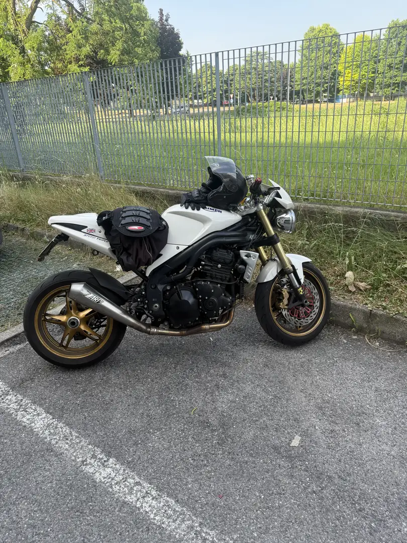 Triumph Speed Triple 1050 1050 std - 1