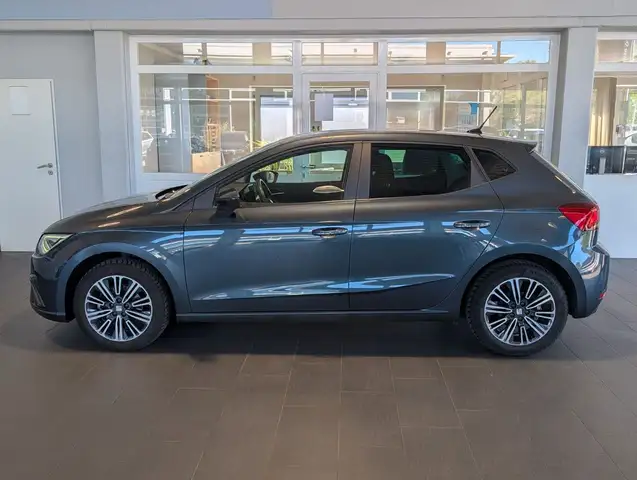 Seat Ibiza view 6