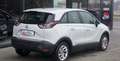 Opel Crossland X 1.2 81CH EDITION 5CV Weiß - thumbnail 6