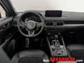 Mazda 5 Mazda CX-5 Rot - thumbnail 12