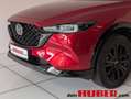 Mazda 5 Mazda CX-5 Rot - thumbnail 8