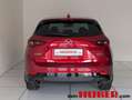 Mazda 5 Mazda CX-5 Rot - thumbnail 7