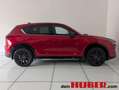 Mazda 5 Mazda CX-5 Rot - thumbnail 5