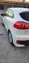 Kia Rio Spirit Weiß - thumbnail 26